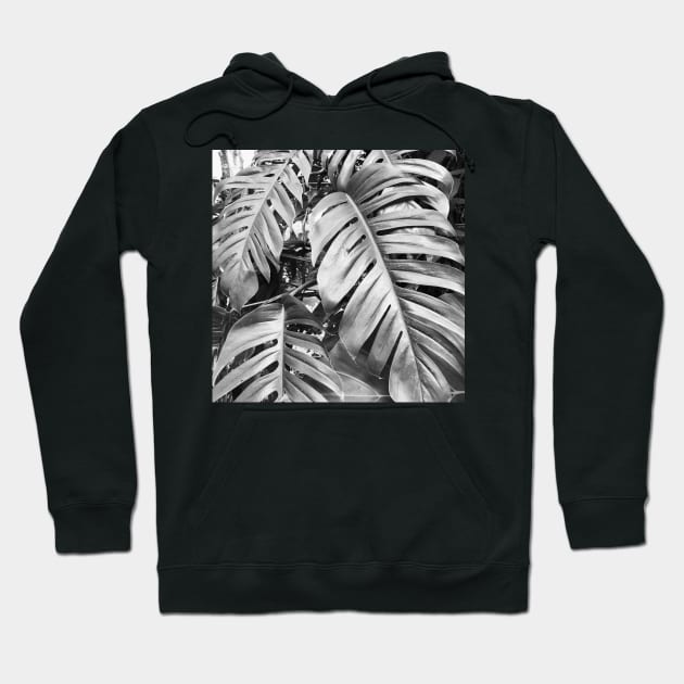 Black and white palm tree Hoodie by AlexandraStr